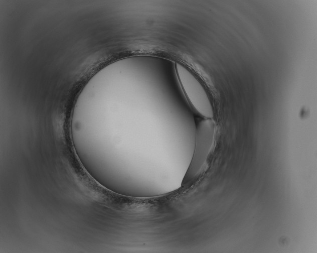 X0000094380209200711242029
