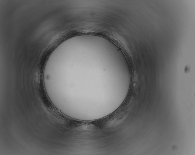 X0000094380210200711242029