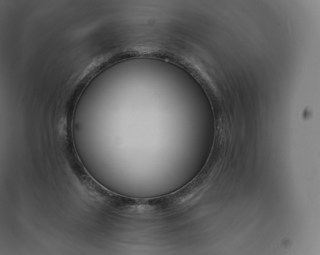 X0000094380212200711242029