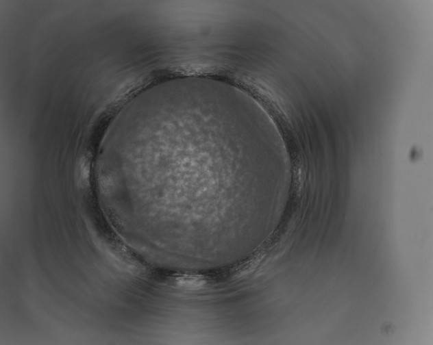 X0000094380214200711242029