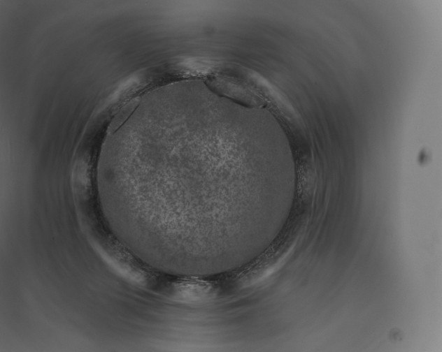 X0000094380215200711242029