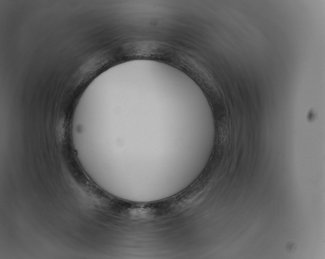 X0000094380216200711242029