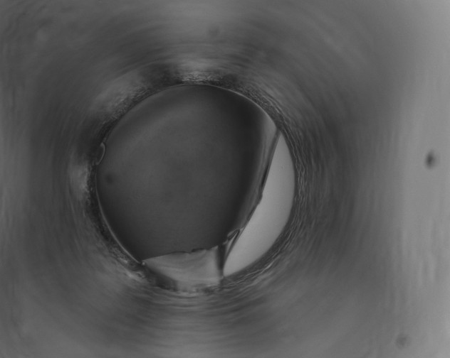 X0000094380219200711242029
