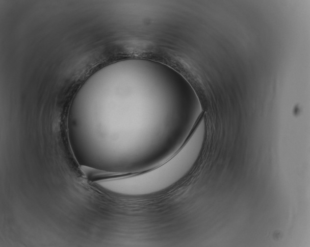 X0000094380221200711242029