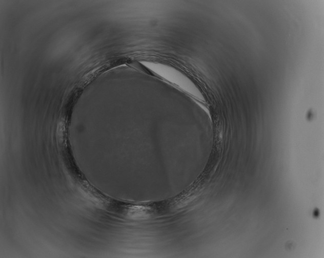 X0000094380222200711242029