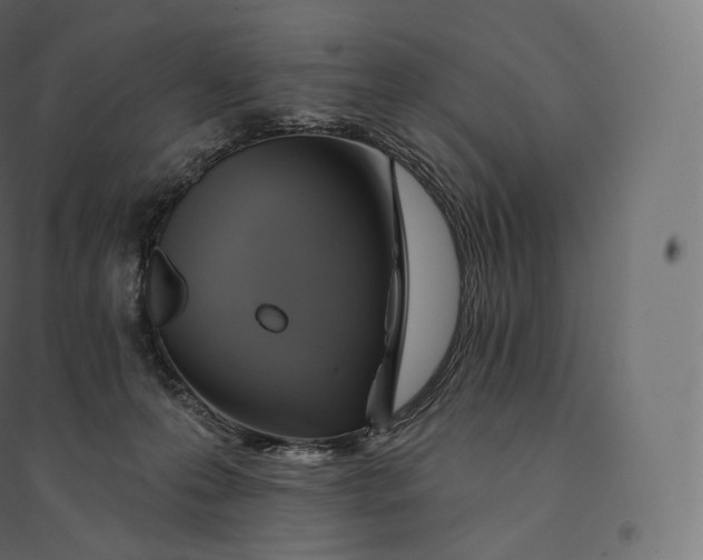X0000094380223200711242029