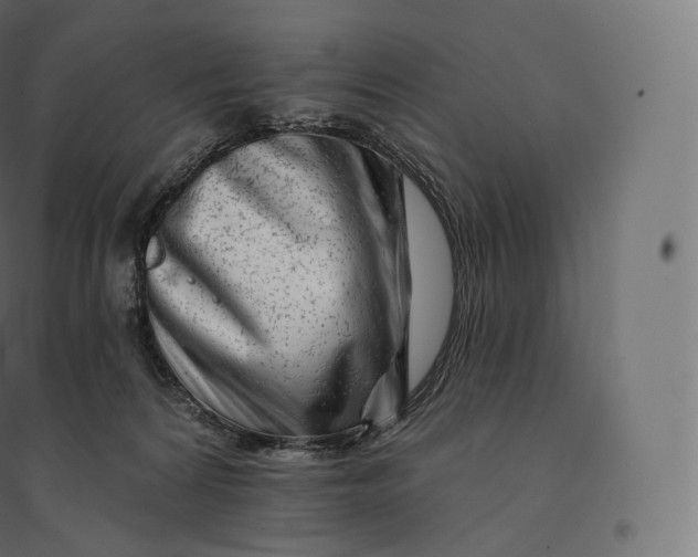 X0000094380224200711242029