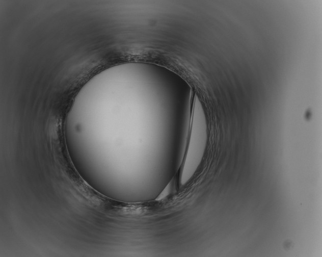 X0000094380225200711242029