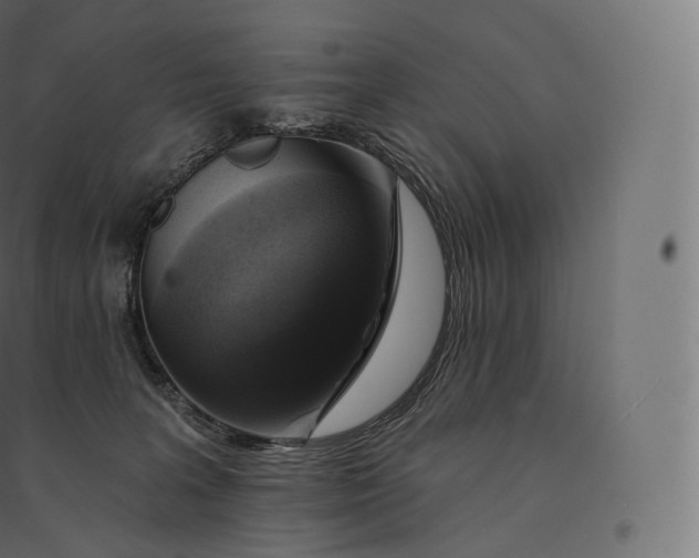 X0000094380227200711242029