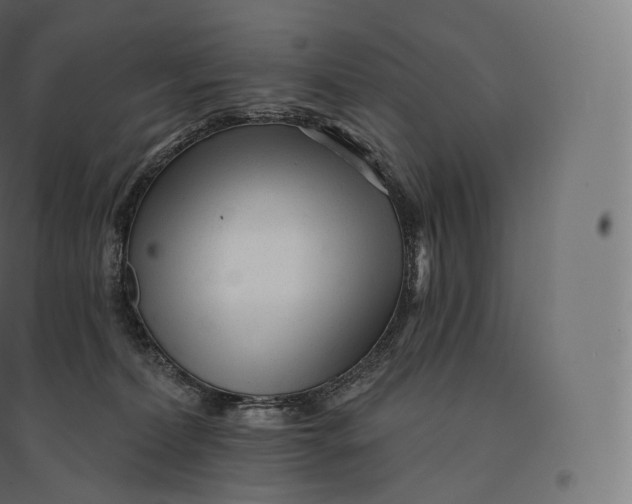 X0000094380228200711242029