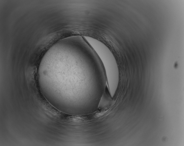 X0000094380229200711242029