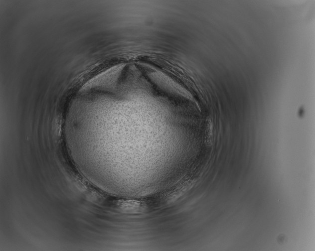 X0000094380230200711242029