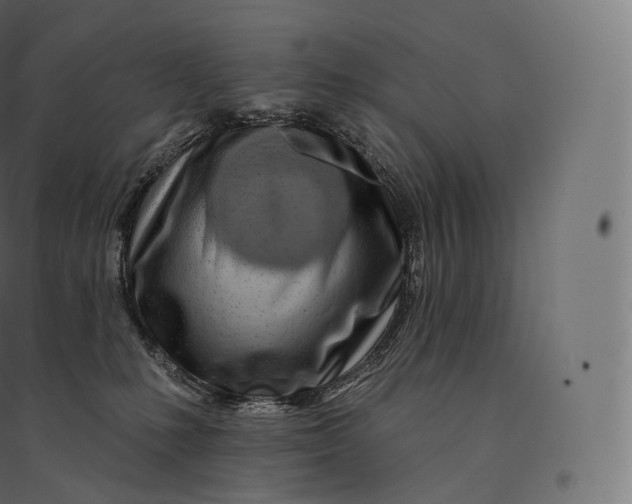 X0000094380231200711242029