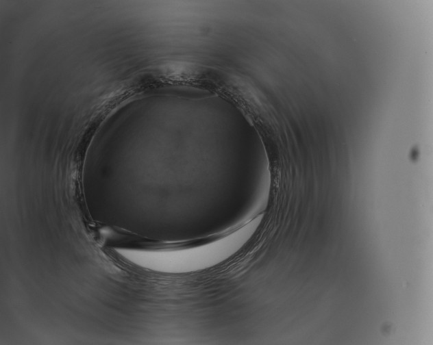 X0000094380235200711242029