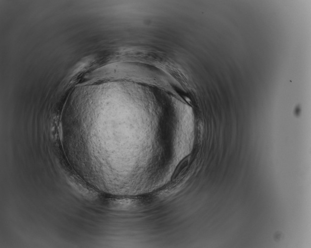 X0000094380237200711242029