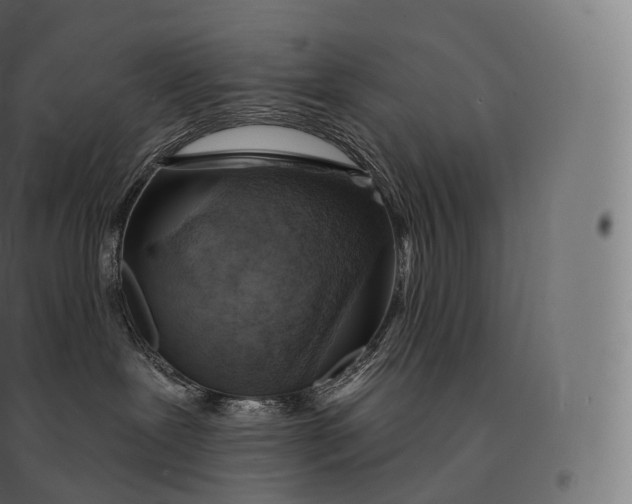 X0000094380239200711242029