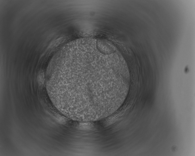 X0000094380240200711242029