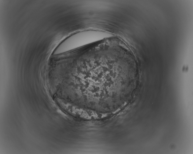X0000094380241200711242028