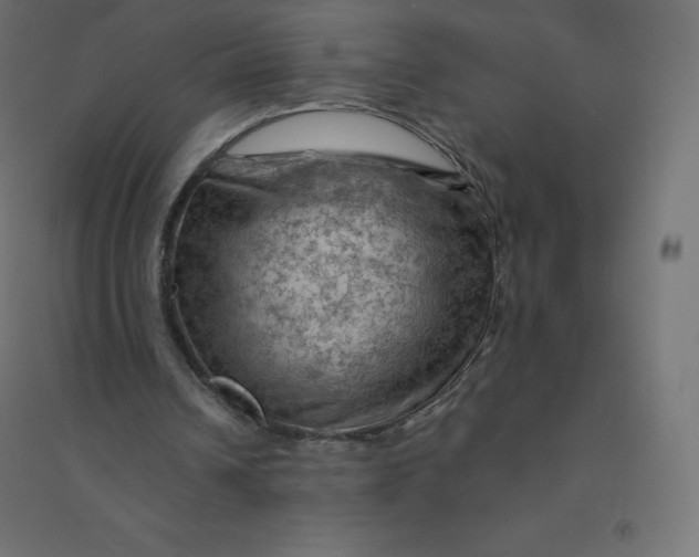 X0000094380242200711242028