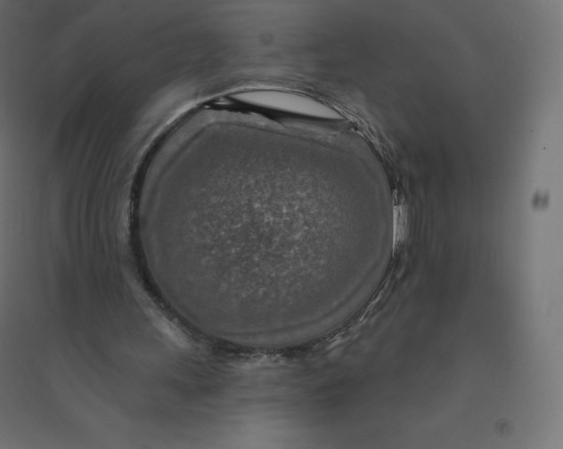 X0000094380243200711242028