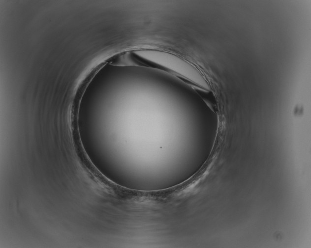 X0000094380244200711242028