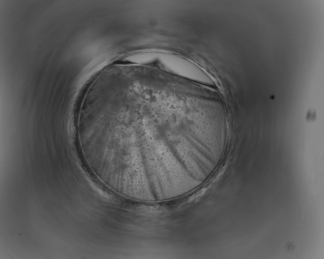 X0000094380245200711242028