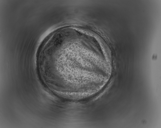 X0000094380246200711242028