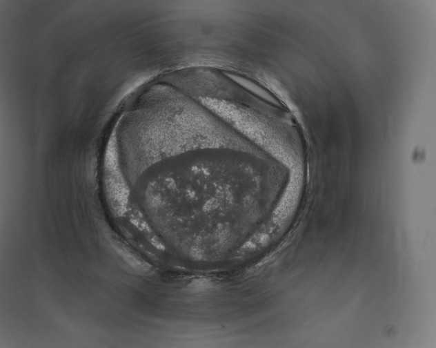 X0000094380249200711242028