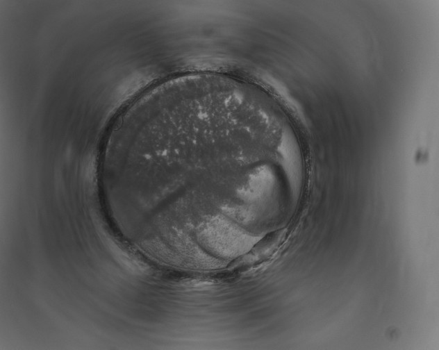 X0000094380250200711242028