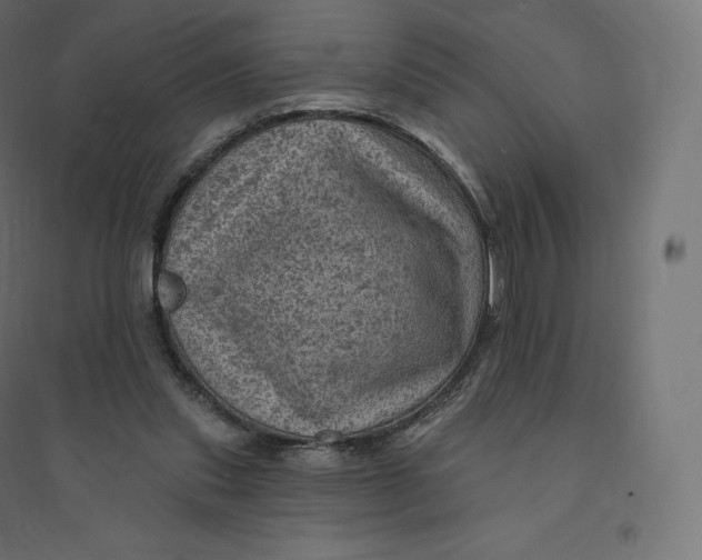 X0000094380253200711242028