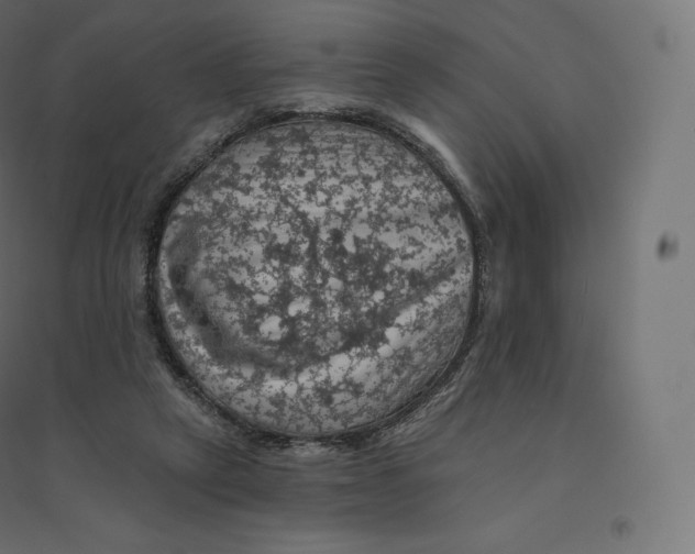 X0000094380257200711242028