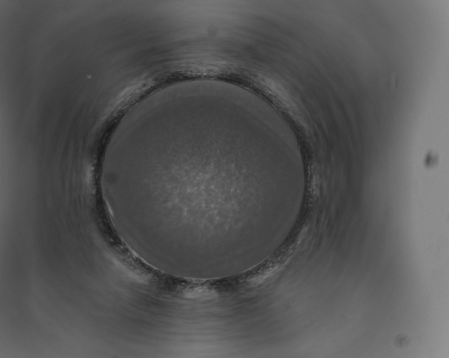 X0000094380258200711242028