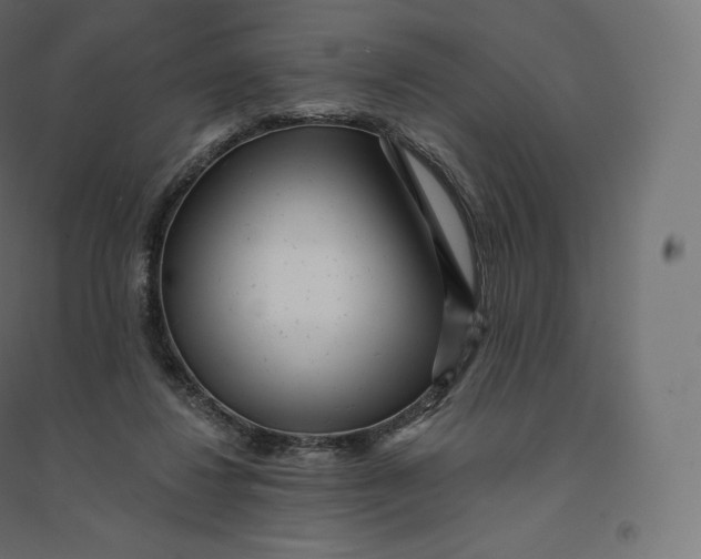 X0000094380260200711242028