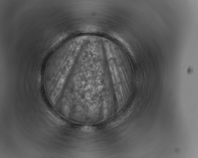 X0000094380261200711242028