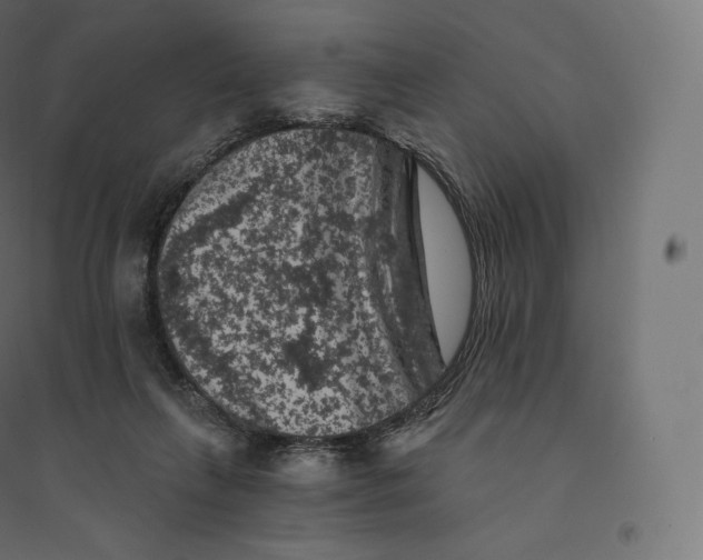 X0000094380263200711242028