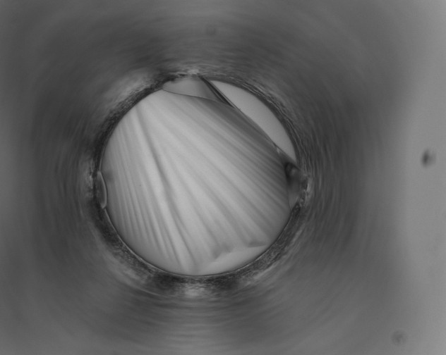X0000094380264200711242028