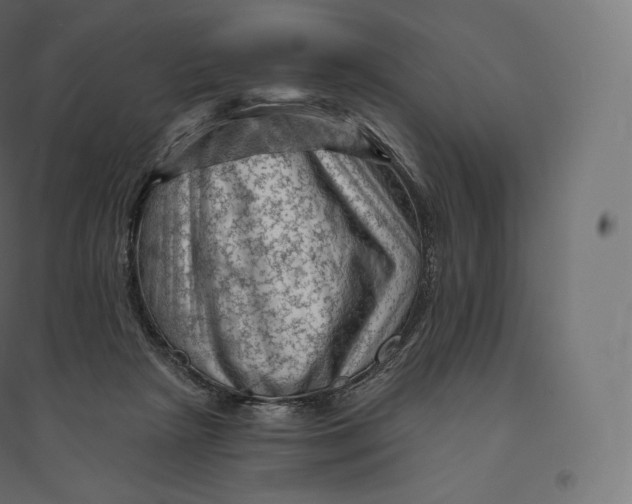 X0000094380265200711242028