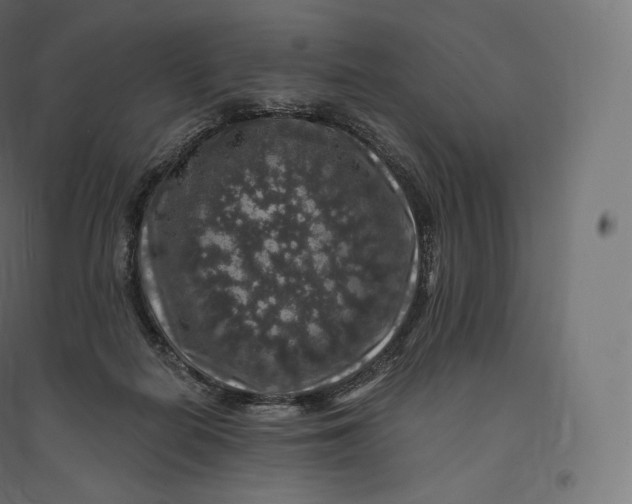 X0000094380266200711242028