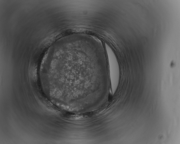 X0000094380267200711242028