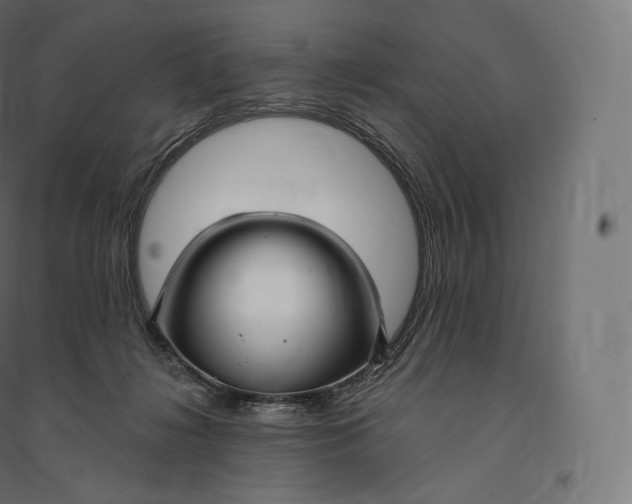 X0000094380268200711242028