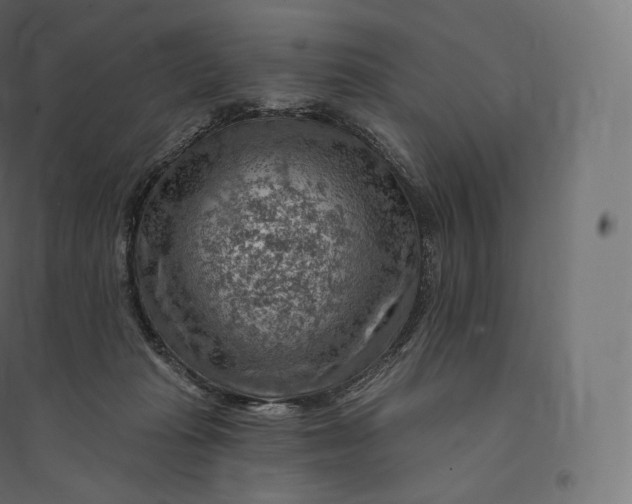 X0000094380269200711242028