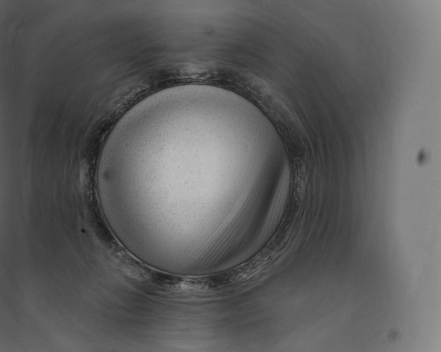 X0000094380270200711242029