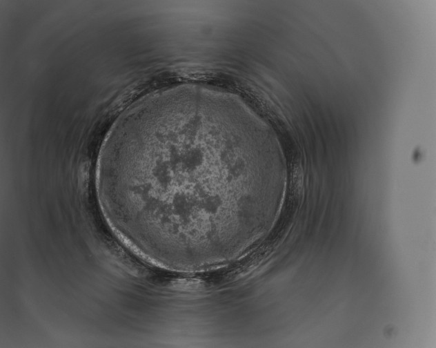 X0000094380271200711242029
