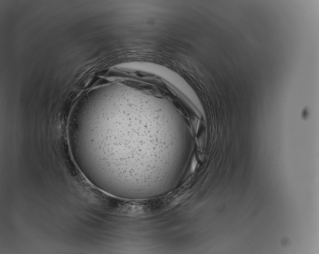 X0000094380276200711242029