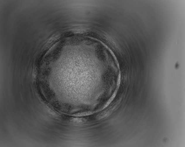 X0000094380277200711242029