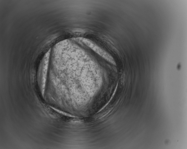 X0000094380283200711242029