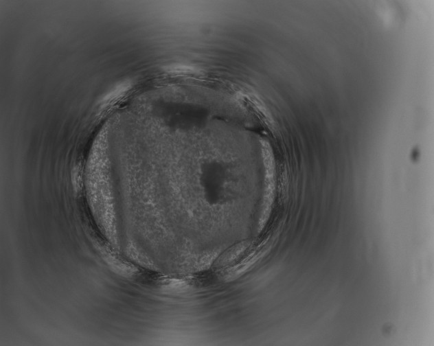 X0000094380285200711242029