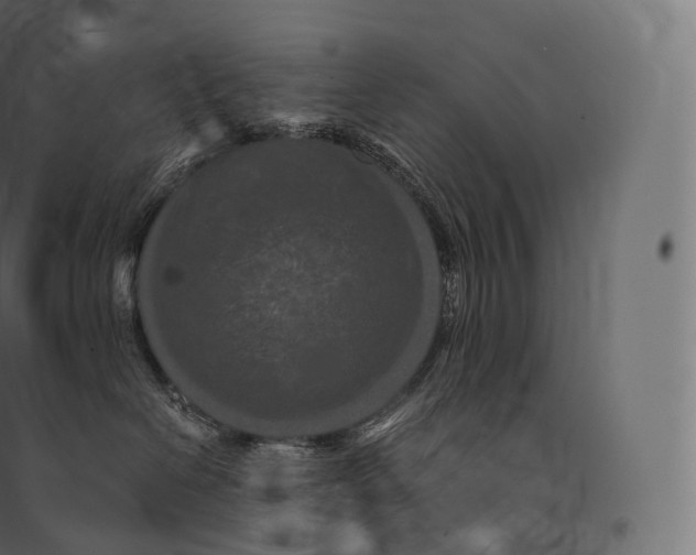 X0000094380286200711242029