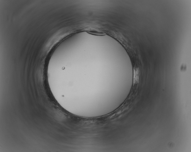 X0000094380291200711242028