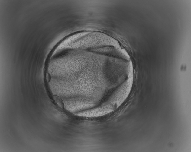 X0000094380292200711242028